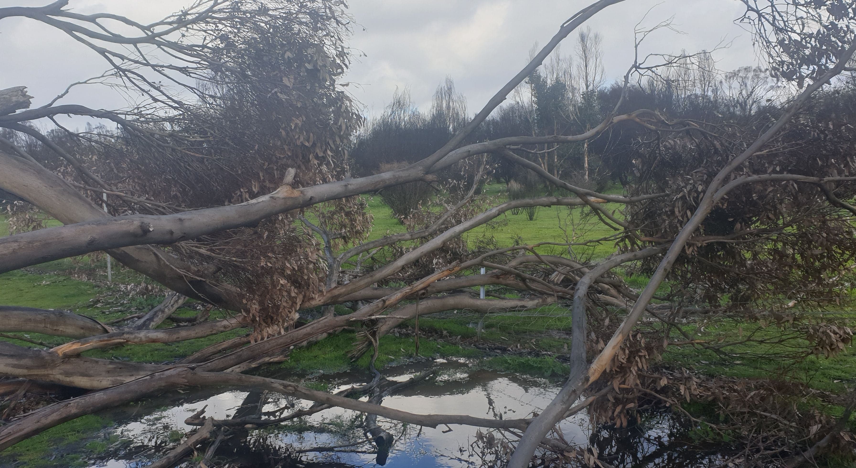 Homepage hero banner